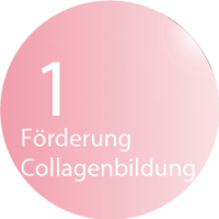 Beautylight Sun & Fun Wellness-Center Solarium und Sonnenstudio - Förderung der Collagenbildung